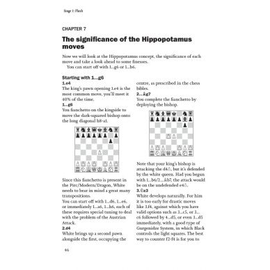 The HIPPO System: A Universal Chess Opening for White & Black by