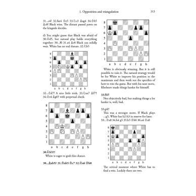 A Matter of endgame technique - Jacob Aagaard